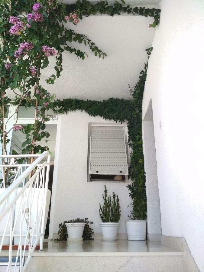 Apartmani Carevic Baška Voda Exterior foto